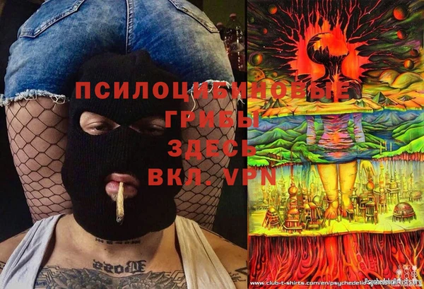 кокс Арсеньев