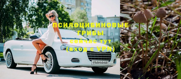дмт Аркадак