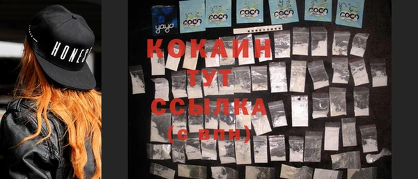 кокс Арсеньев