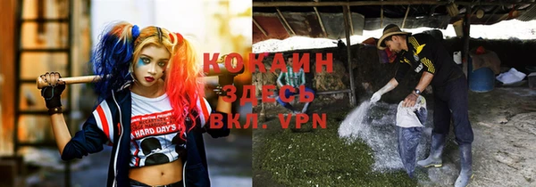 дмт Аркадак