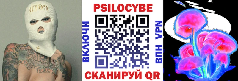Псилоцибиновые грибы Psilocybine cubensis  Удомля 